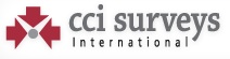 CCi Surveys International