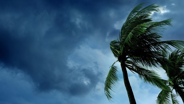 BRG Hurricane Insurance Claims
